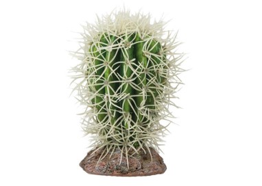 Decor Hobby Cactus Great Basin