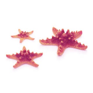 Set de 3 stele Oase biOrb Sea Star roz