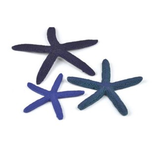 Set 3 stele de mare Oase biOrb Starfish albastre