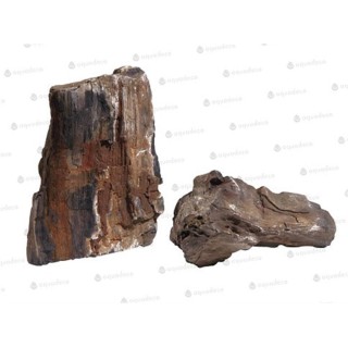 Piatra Aquadeco Lemn fosilizat 2.3-2.7 kg