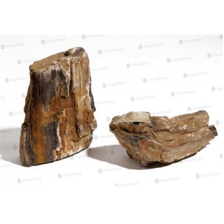 Piatra Aquadeco Lemn fosilizat 0.8-1.2kg