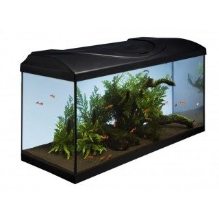 Acvariu Diversa 80 112l