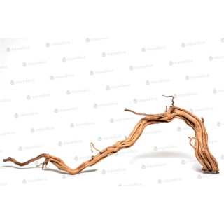 Lemn Aquadeco Curl Wood M 60-80 cm