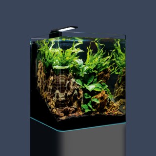 Acvariu Dennerle Nano Cube Complete 30 L