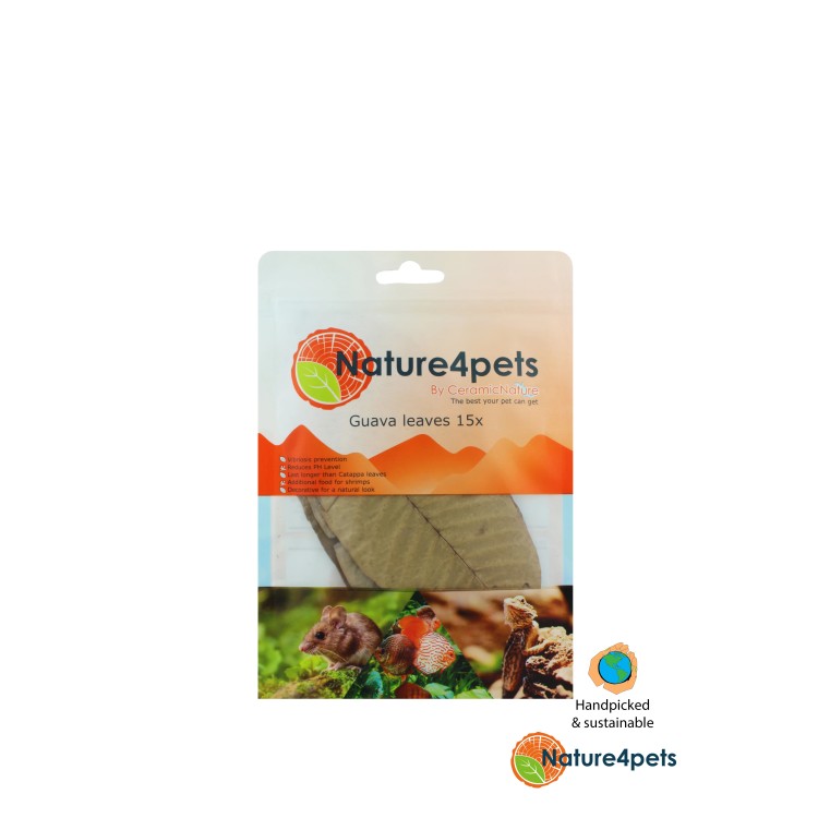 Frunze naturale de Guava pentru acvarii 15buc