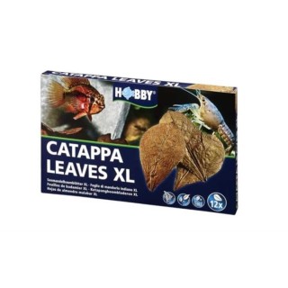 Frunze Hobby Catappa XL 12 bucati