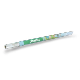 Neon T8 Dennerle Amazon Day 18W 590mm